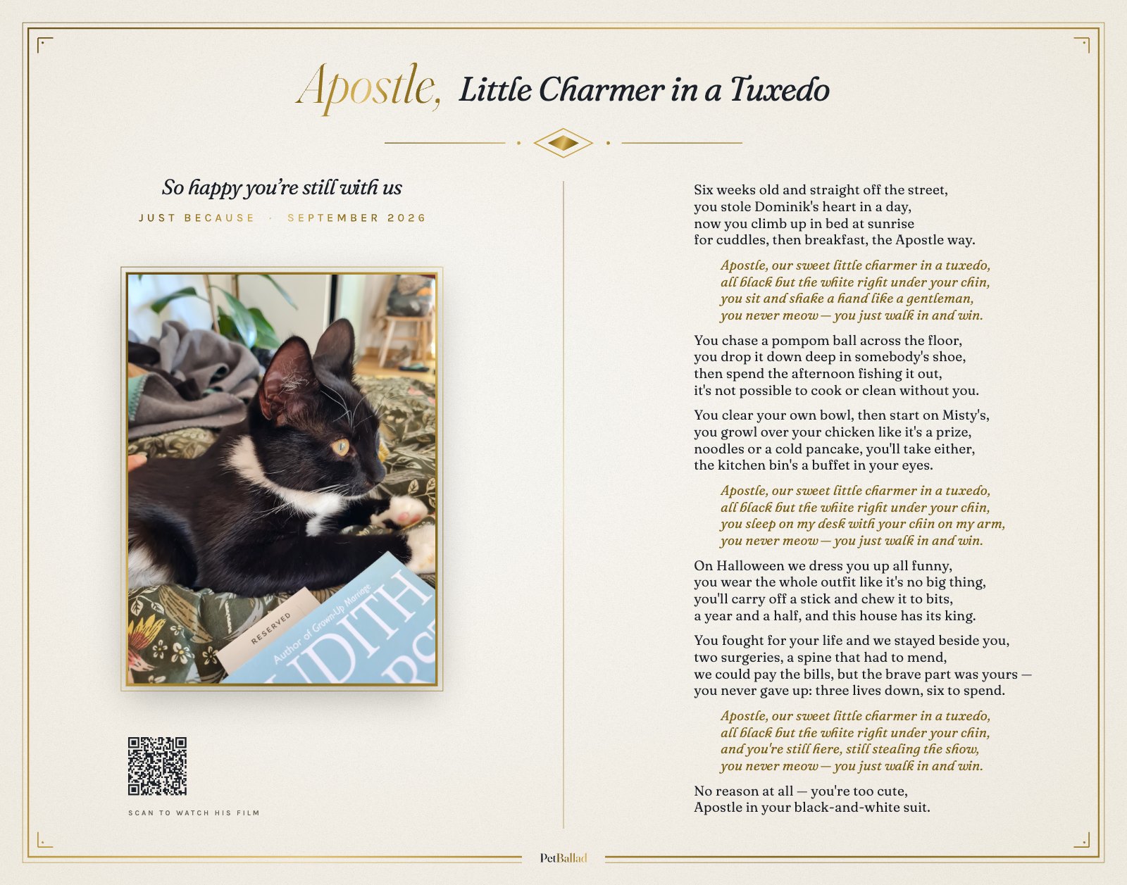 Apostle's lyrics sheet
